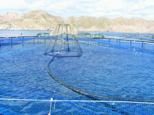 acuacultura marina