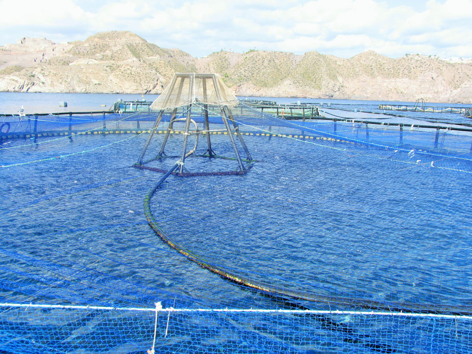 Global area estimate for marine aquaculture development - Responsible ...