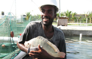 man with tilapia