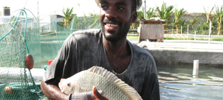 man with tilapia