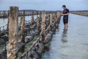 servicios ecosistémicos