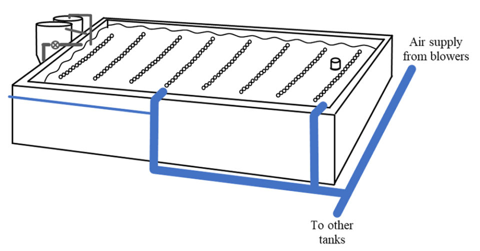 Fig. 1: Sistema de producción con tecnología de biofloc en tanques de madera revestidos de polietileno de alta densidad (6.10 metros x 3.05 metros de dimensiones interiores). El aire de los sopladores suministra dos rejillas de aireación ubicadas en la parte inferior de cada tanque. La bomba de elevación de aire de la corriente lateral mueve el agua del tanque a la primera cámara de sedimentación, que luego fluye por gravedad a la segunda cámara de sedimentación y luego regresa al tanque.