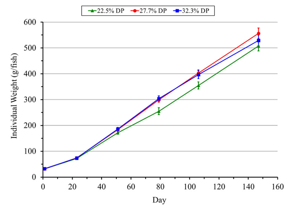 Fig. 3: Crecimiento (media ± SE) de tilapia híbrida en tanques de producción de tecnología biofloc al aire libre alimentados con dietas que contenían uno de los tres niveles de proteína digestible (DP).