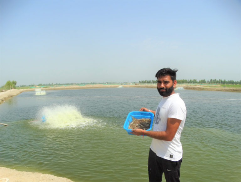 Article image for Development of inland saline-water aquaculture in Punjab, India