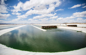 Algas cultivadas en estanques
