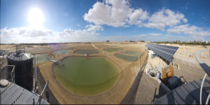combustible de aviación