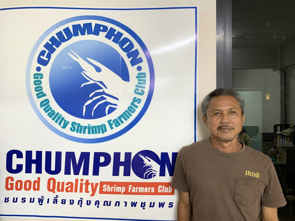 Article image for Early-warning pilot project in Thailand aims to reduce risk of shrimp disease