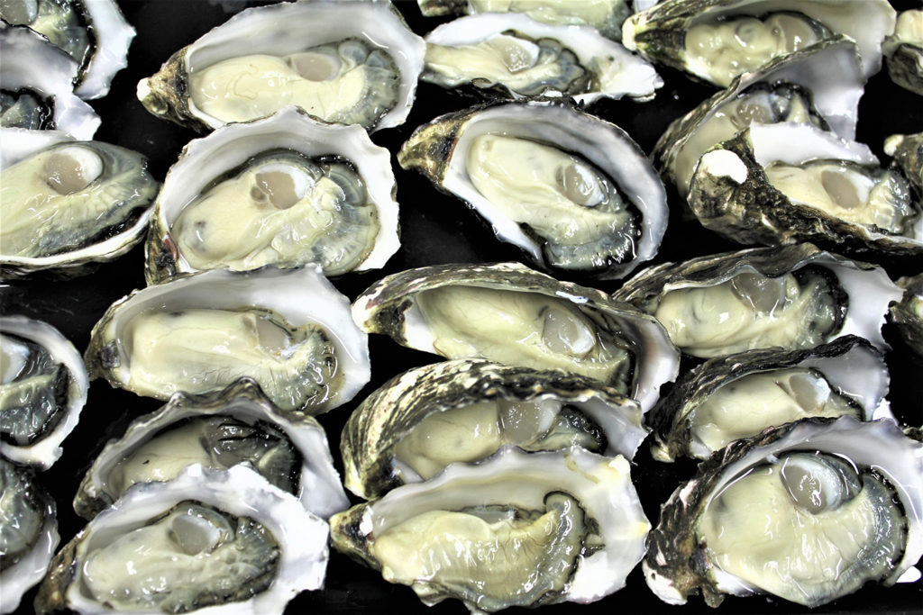 Article image for A model for estimating pathogen variability in shellfish