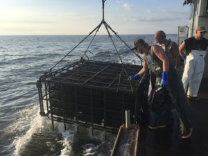 A large oyster cage