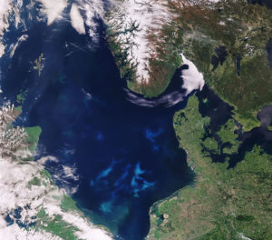 Asesinos en el mar: floración de algas nocivas y su impacto en la acuacultura