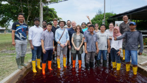 inventario de camarones