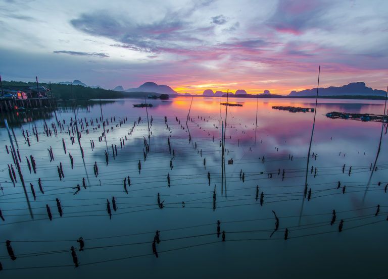 Article image for How aquaculture furthers the Blue Growth Initiative
