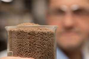 Calysta’s dried fermented protein, FeedKind, earns FDA GRAS status for aquafeeds