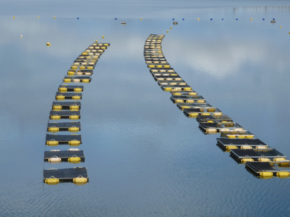 View of tilapia cages in Brazil.