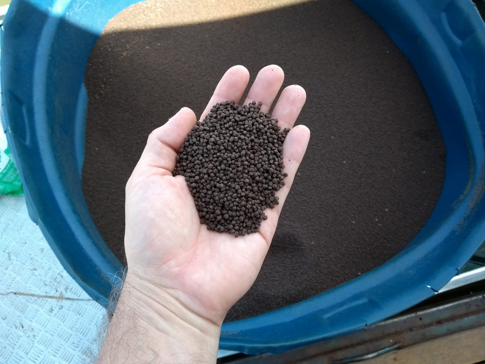 When tilapia feeds with high protein levels are needed, larger quantities of high protein animal meals – including bloodmeal (pictured here) are used.