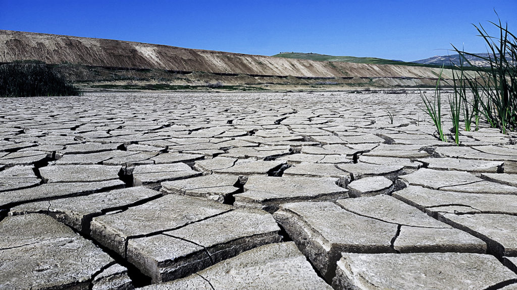 Article image for El cambio climático probablemente ya afecta la producción mundial de alimentos