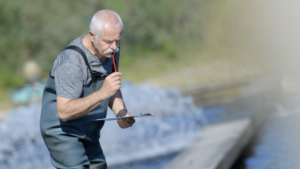 trainers consultants and experts