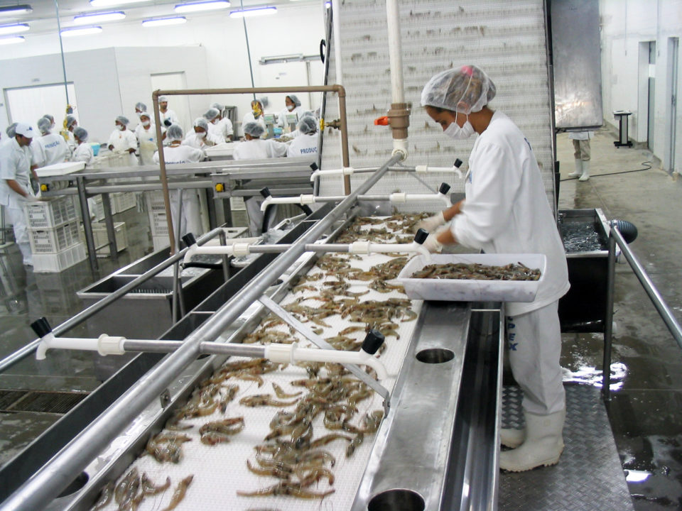 Where Does Farmed Seafood Come From? GSA