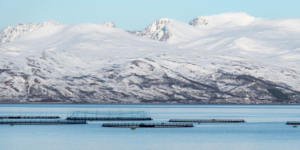 where does farmed seafood come from