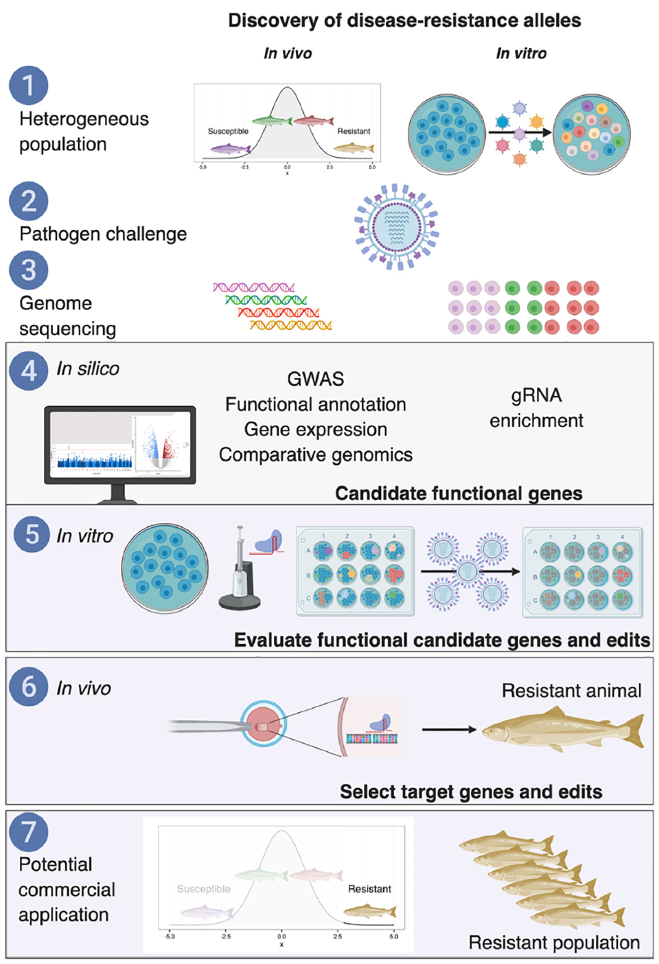 Genome editing potential to improve aquaculture breeding, production ...