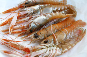 Empaque de productos de mar