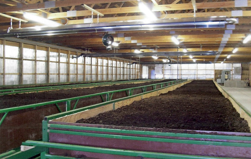 The red earthworm as an alternative protein source in aquafeeds