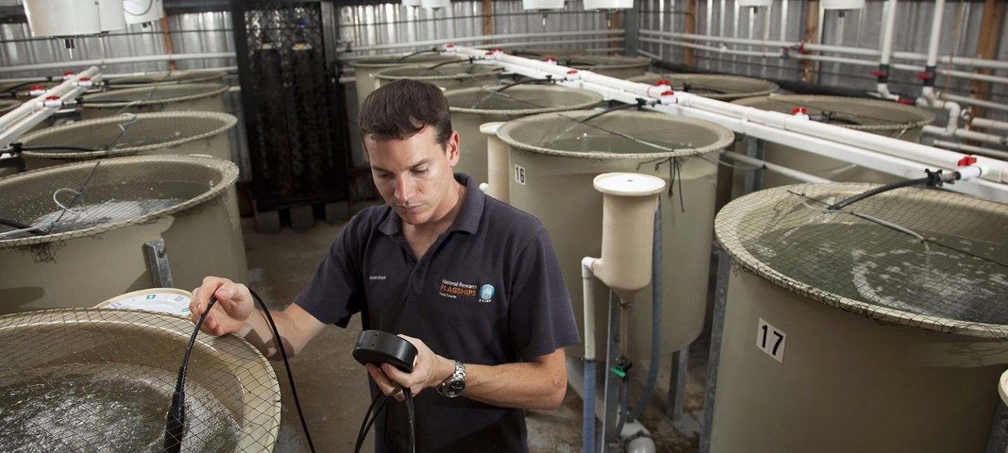 poultry protein concentrate