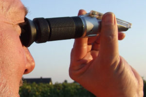 Salinidad en la acuacultura