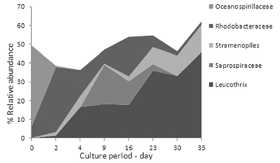 Fig. 1: Changes in relative abundance of the five main bacterial taxa in the BFT treatment during the study.