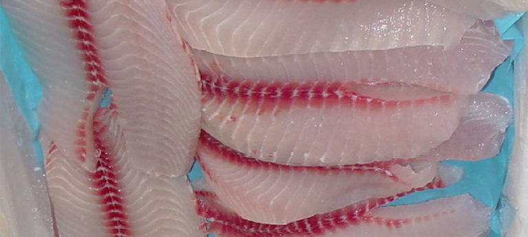 estrés previo al sacrificio