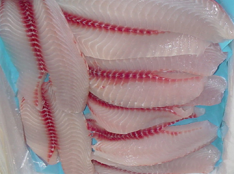 Article image for Effect of pre-slaughter stress on quality of tilapia fillets