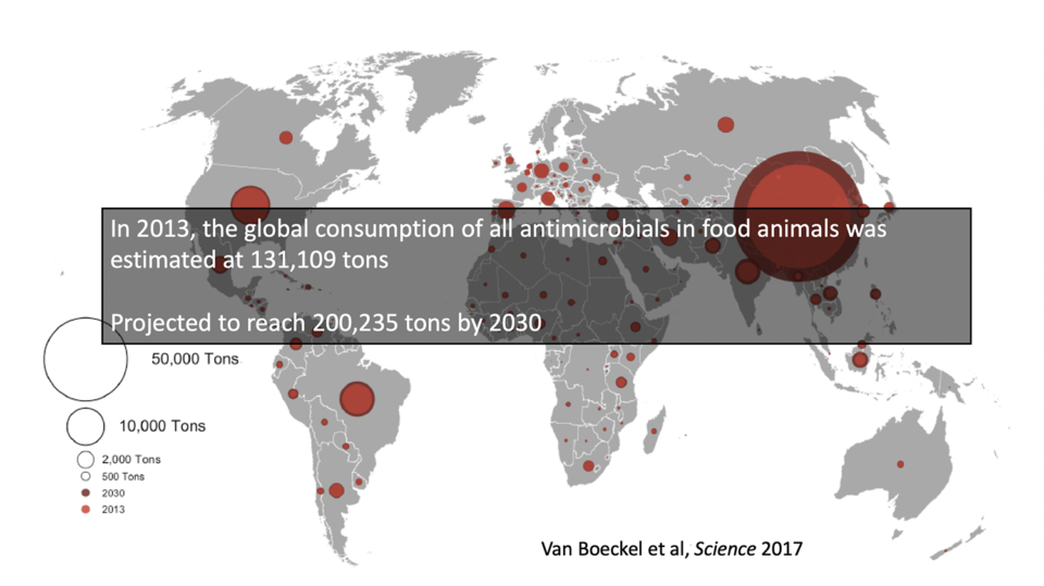 Global antibiotic consumption