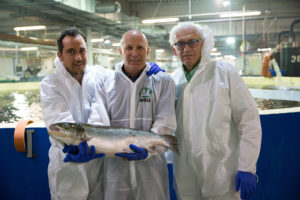 AquaMaof cultivating a ‘new generation’ of fish farmers