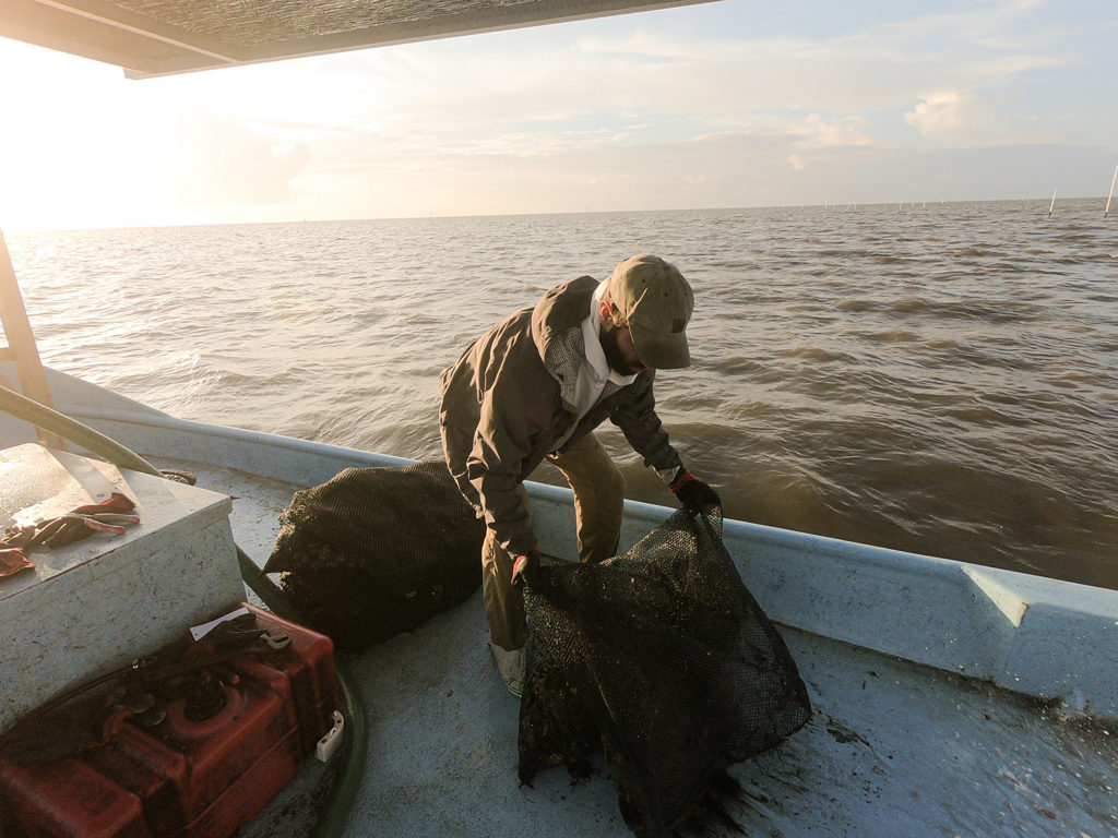 Article image for Farmers trade Kansas cornfields for Florida clam beds