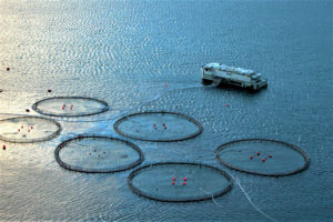 Precision fish farming: A new framework to improve aquaculture, Part 2