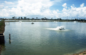 Model for managing organic sediment in aquaculture ponds