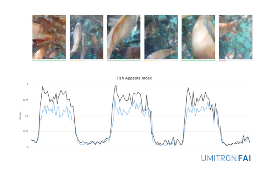 Can aquaculture go all-in on AI? - Responsible Seafood Advocate