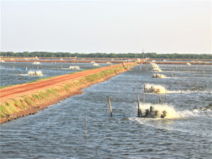 Energy use in aquaculture pond aeration, Part 2