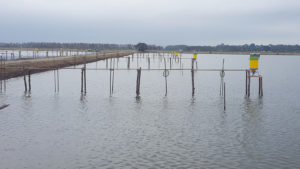 alimentación automática