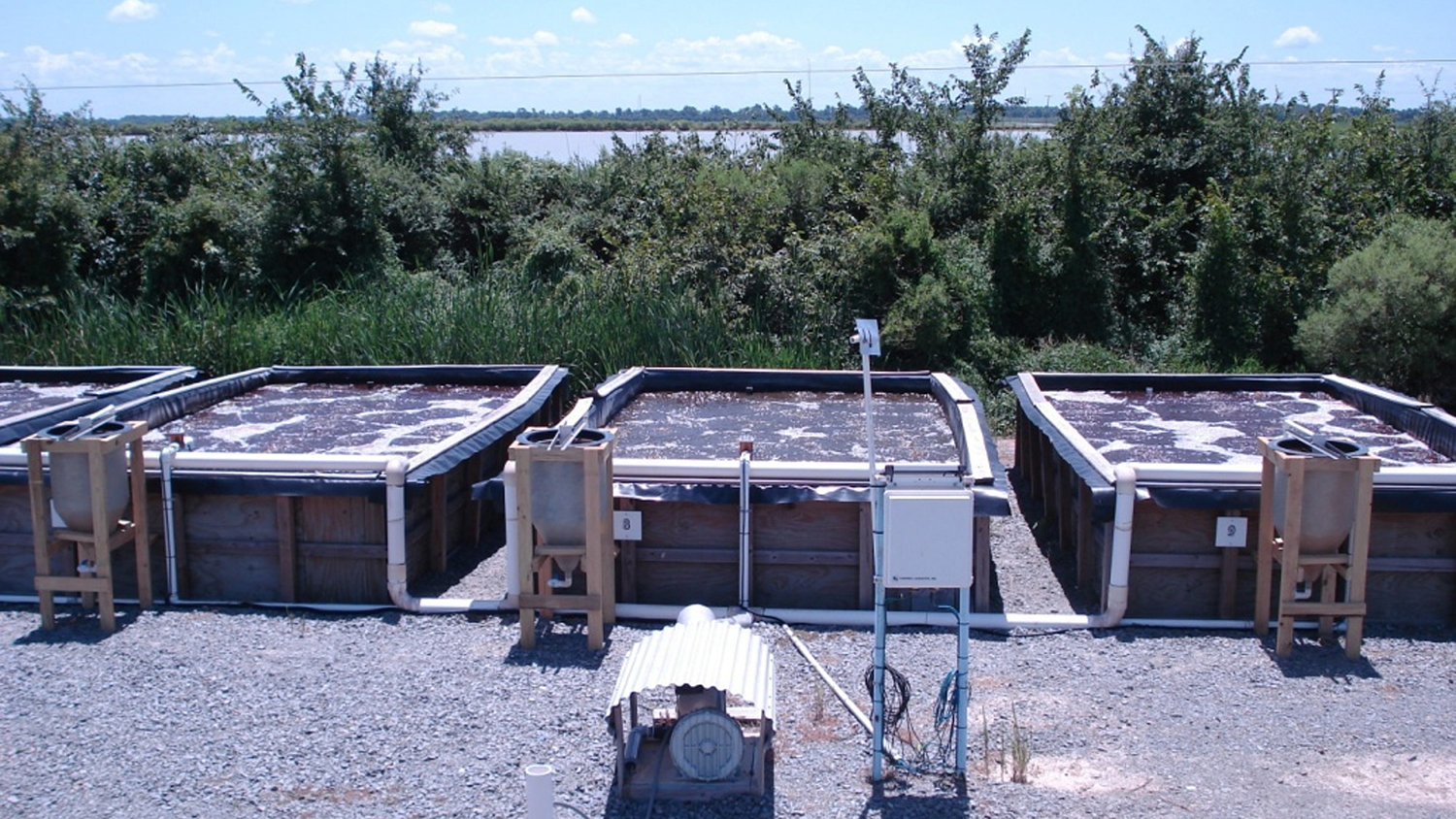 Channel catfish production in biofloc technology systems Responsible