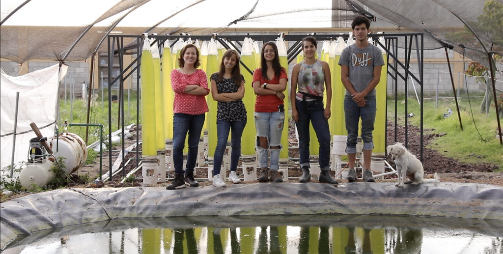 Article image for Mexican startup offers DIY aquafeed solution by upcycling wastewater