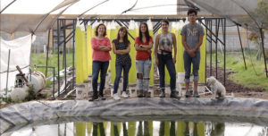 Mexican startup offers DIY aquafeed solution by upcycling wastewater