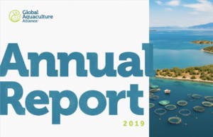 annual report