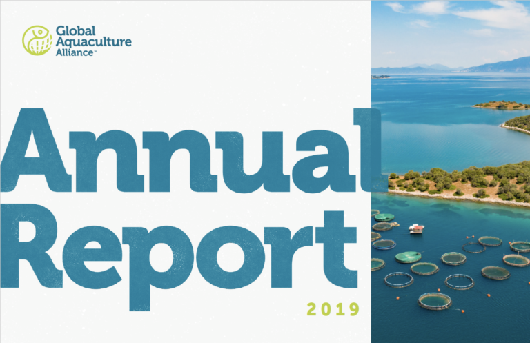 Featured image for GAA Publishes Its 2019 Annual Report