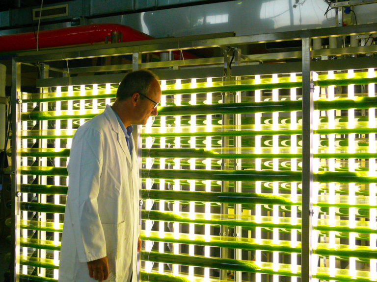 Article image for Making algae can get expensive. Innovations aim to bring costs down.