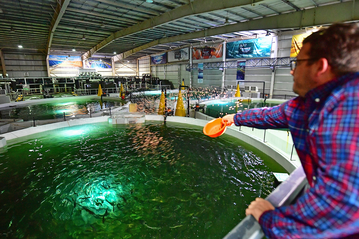 A salmon farm in Dubai, because of course Responsible Seafood Advocate