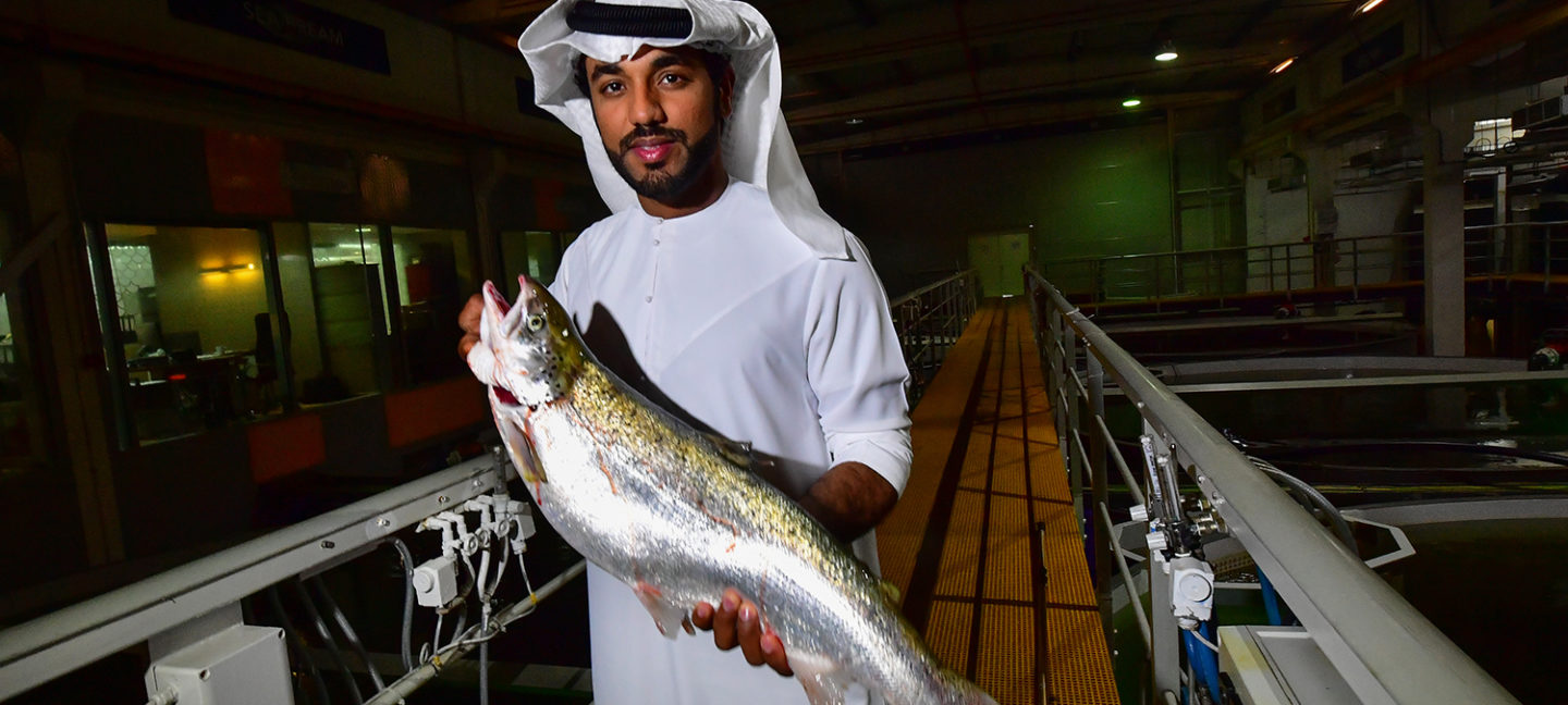 salmon in Dubai