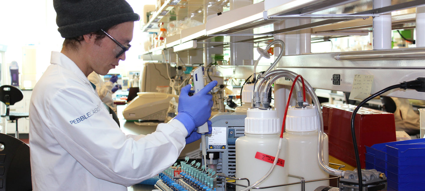 New Mexico-based Pebble Labs