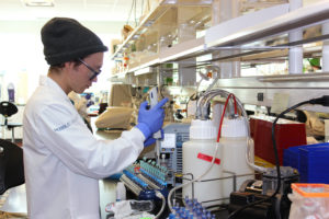 New Mexico-based Pebble Labs