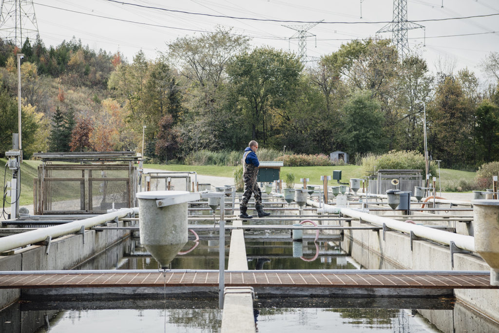 Article image for Technology allowing aquaculture to do social distancing